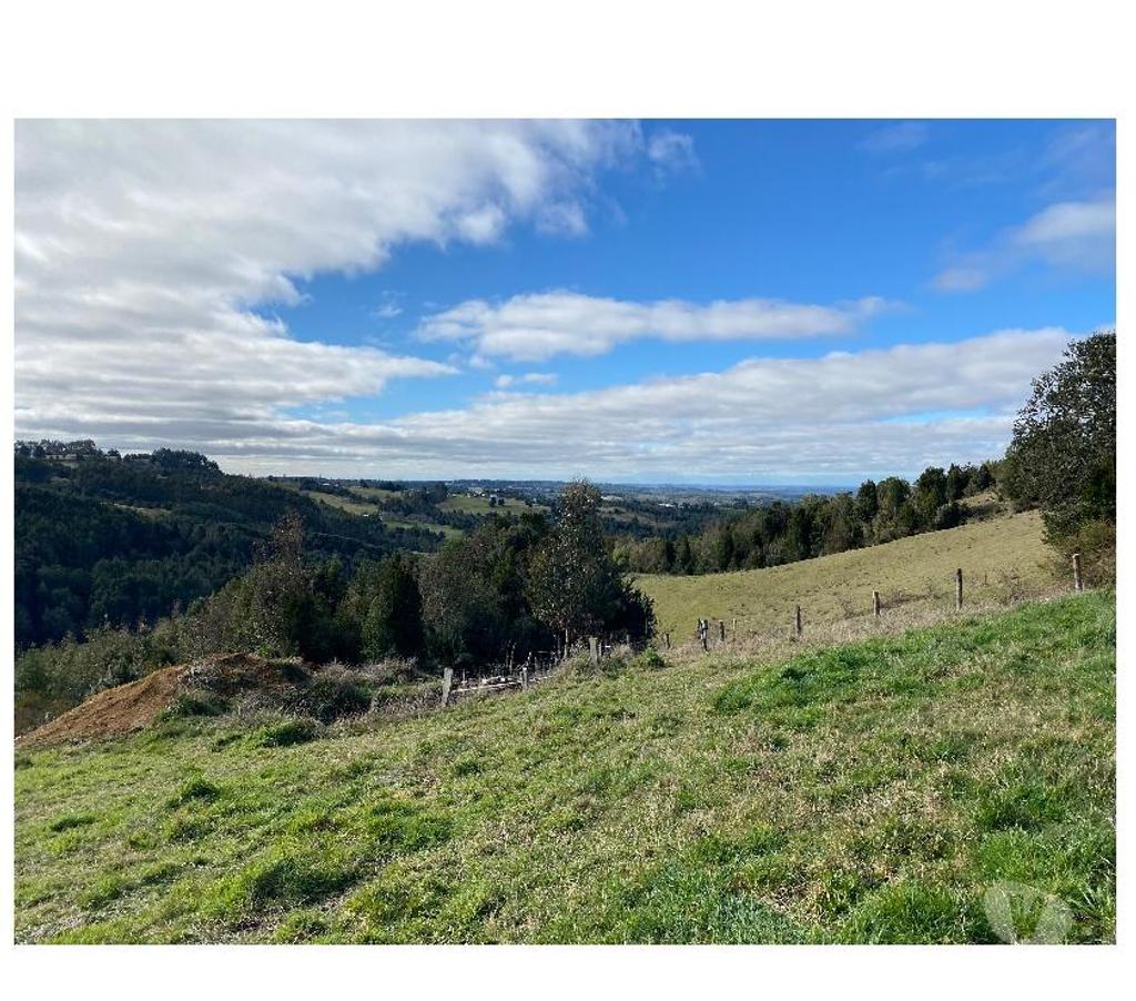 Venta de Haciendas Llanquihue Fresia - Fotos de Campo El Mañío 6,8hectáreas Región De Los Lagos