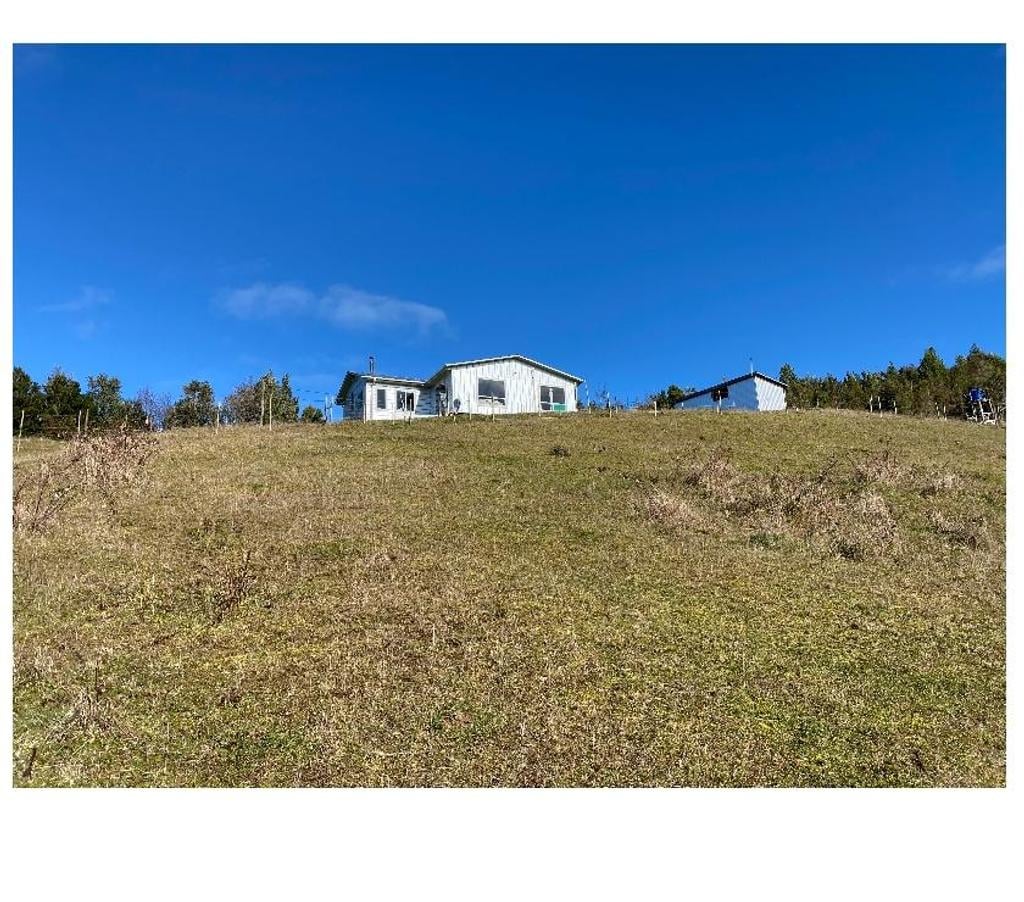 Venta de Haciendas Llanquihue Fresia - Fotos de Campo El Mañío 6,8hectáreas Región De Los Lagos