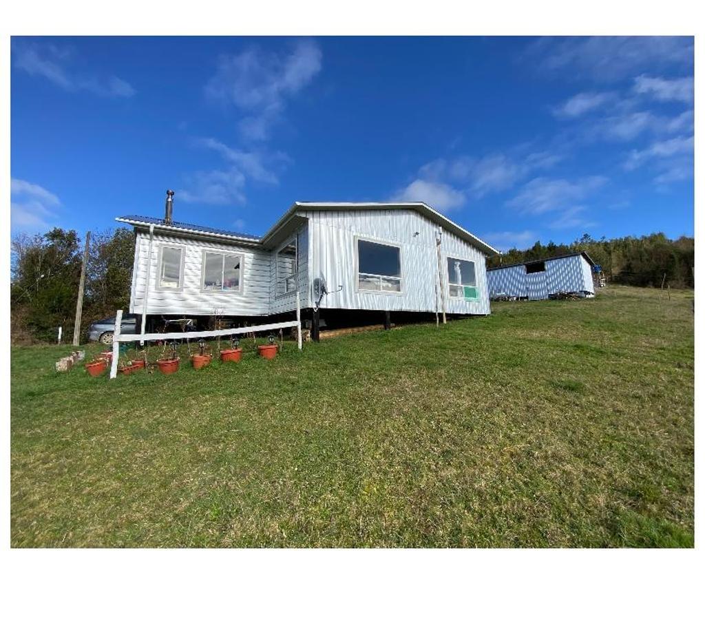 Venta de Haciendas Llanquihue Fresia - Fotos de Campo El Mañío 6,8hectáreas Región De Los Lagos