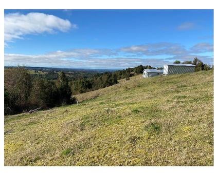 Venta de Fundos Fresia Llanquihue - Fotos de Campo El Mañío 6,8hectáreas Región De Los Lagos