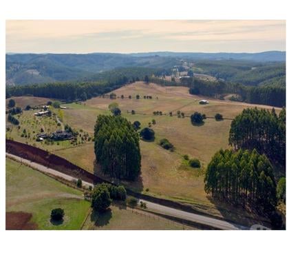 Venta de Fundos La Unión Ranco - Fotos de Campo Vista Hermosa Región De Los Ríos