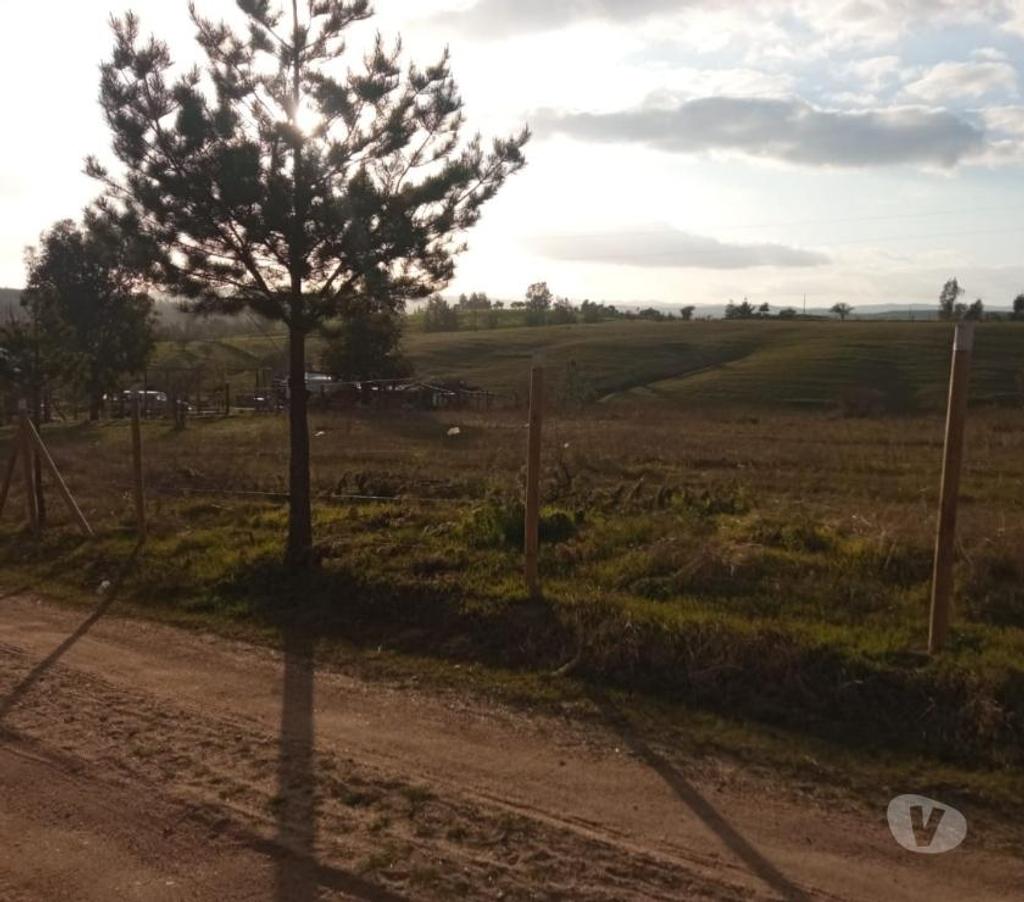 Parcelas en Venta Ñuble Ninhue - Fotos de EN VENTA TERRENO DE 5.000 MTS2 EN SAN JOSE, NINHUE