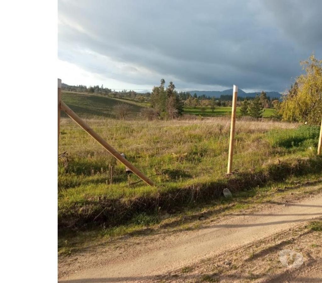 Parcelas en Venta Ñuble Ninhue - Fotos de EN VENTA TERRENO DE 5.000 MTS2 EN SAN JOSE, NINHUE