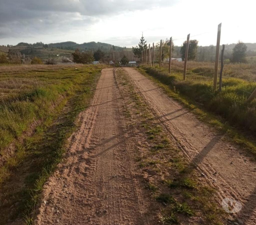 Parcelas en Venta Ñuble Ninhue - Fotos de EN VENTA TERRENO DE 5.000 MTS2 EN SAN JOSE, NINHUE