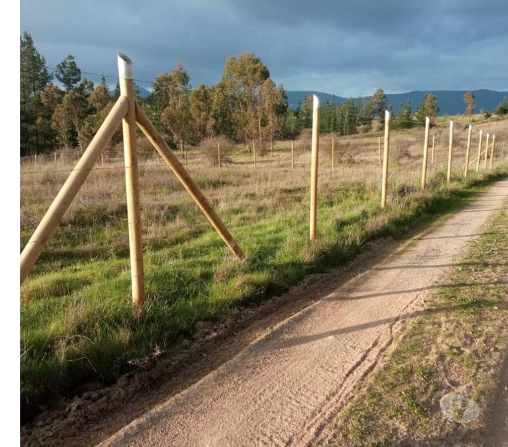 Parcelas en Venta Ñuble Ninhue - Fotos de EN VENTA TERRENO DE 5.000 MTS2 EN SAN JOSE, NINHUE