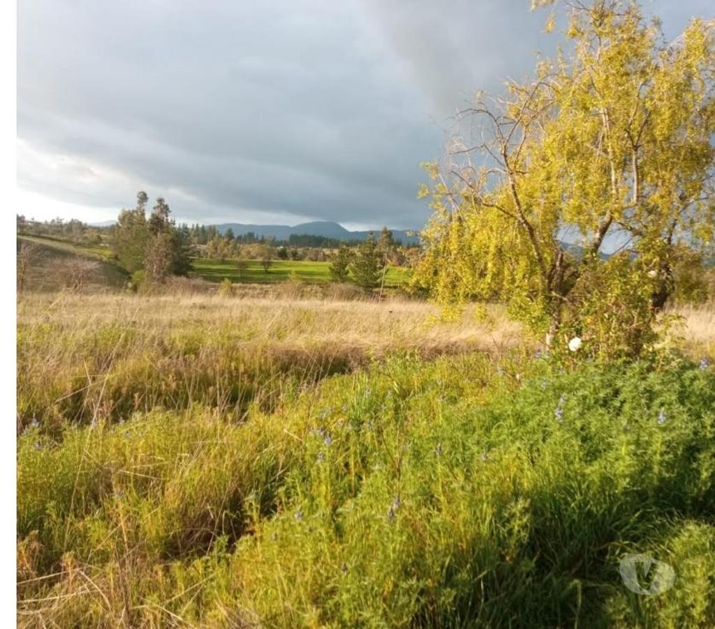 Parcelas en Venta Ñuble Ninhue - Fotos de EN VENTA TERRENO DE 5.000 MTS2 EN SAN JOSE, NINHUE