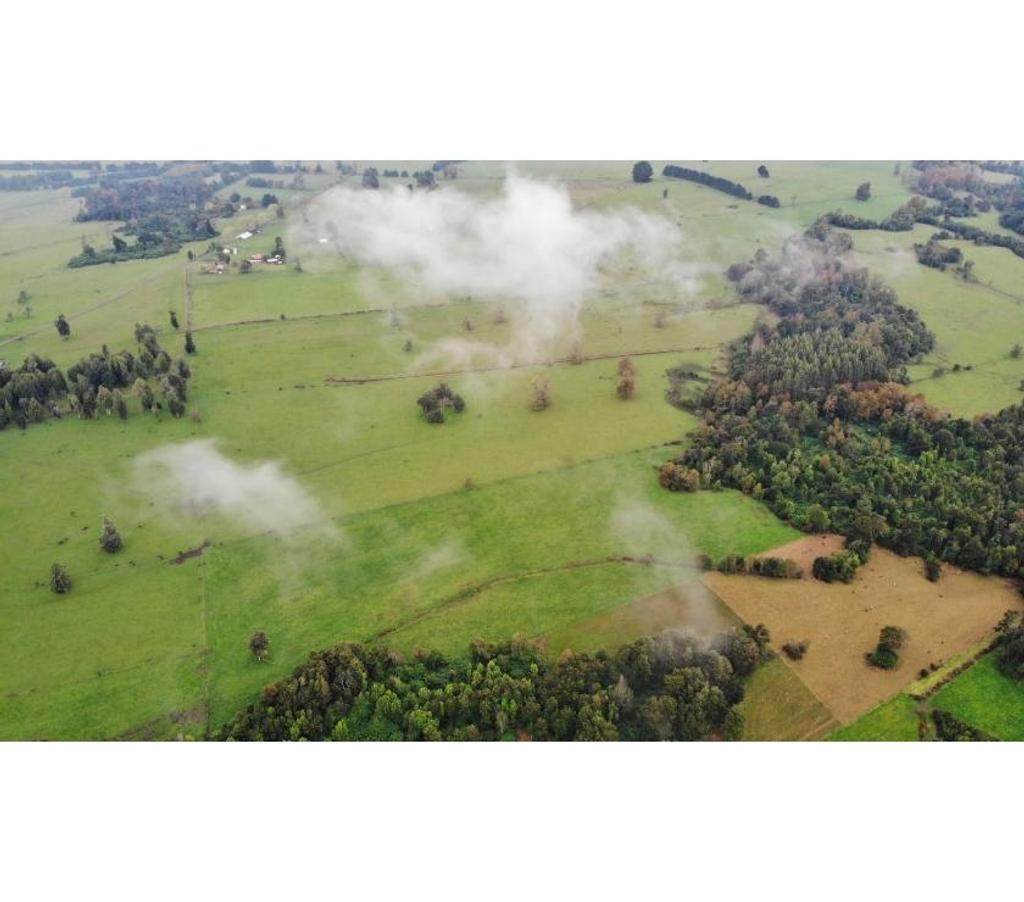 Parcelas en Venta Osorno Puyehue - Fotos de SECTOR RUPANQUITO, COMUNA DE PUYEHUE.