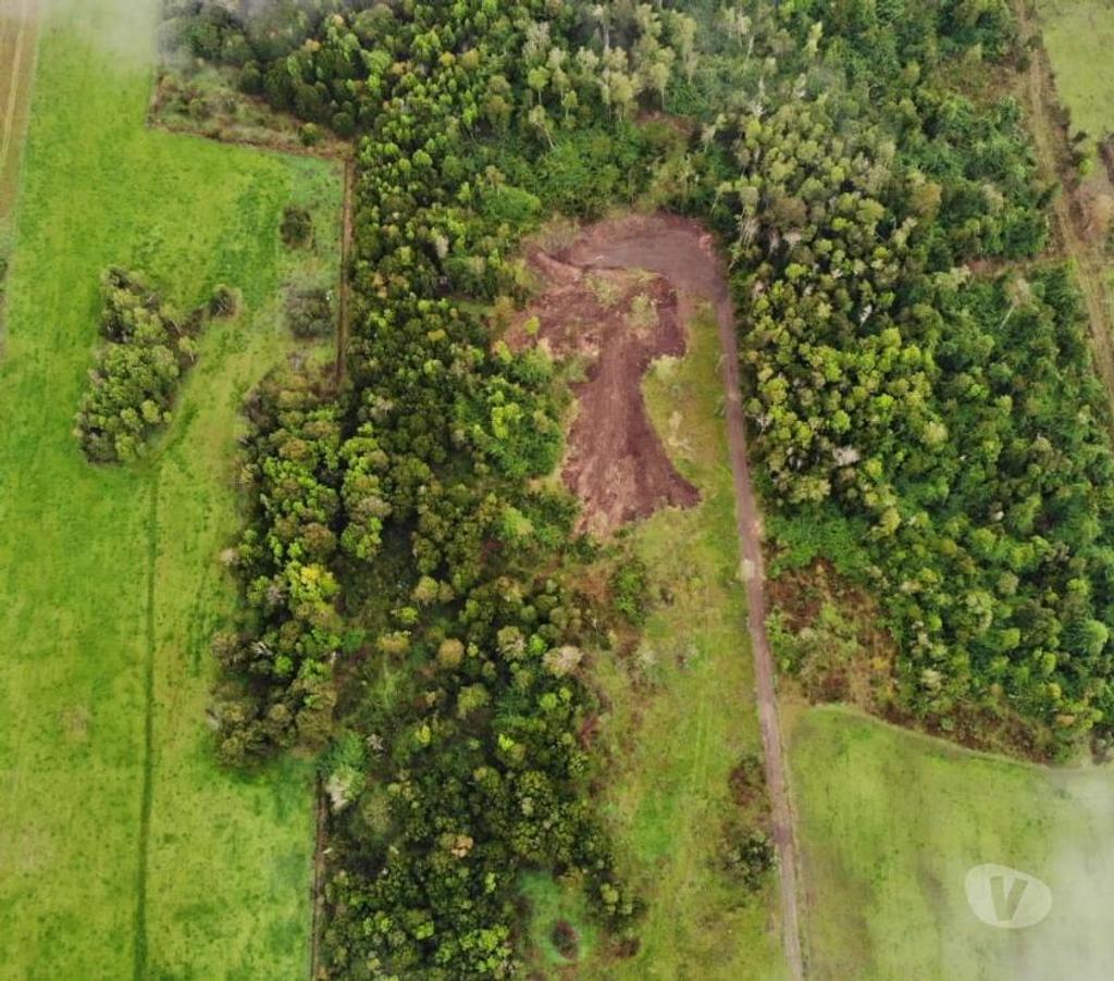 Parcelas en Venta Osorno Puyehue - Fotos de SECTOR RUPANQUITO, COMUNA DE PUYEHUE.
