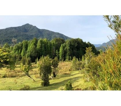 Parcelas en Venta Puerto Montt Llanquihue - Fotos de TERRENO 12.70 HA, COLONIA SARGAZO, PUERTO MONTT
