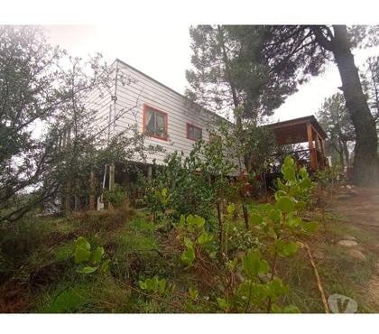 Parcelas Portezuelo Ñuble - Fotos de Acogedora parcela de agrado 6600 mt2 casa 4 dorm, Portezuelo