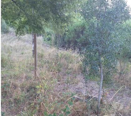 Parcelas en Venta Temuco Cautín - Fotos de Vende Parcela sector Pumalal, Temuco