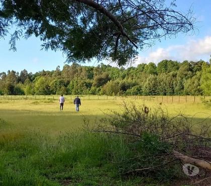 Terrenos San Carlos Ñuble - Fotos de Espectacular parcela con río en Ñuble