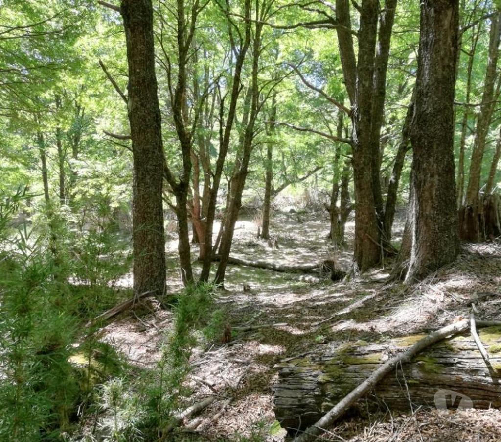 Parcelas en Venta Cautín Curarrehue - Fotos de Curarrehue 1 hectárea con derecho a acceso a rio. 