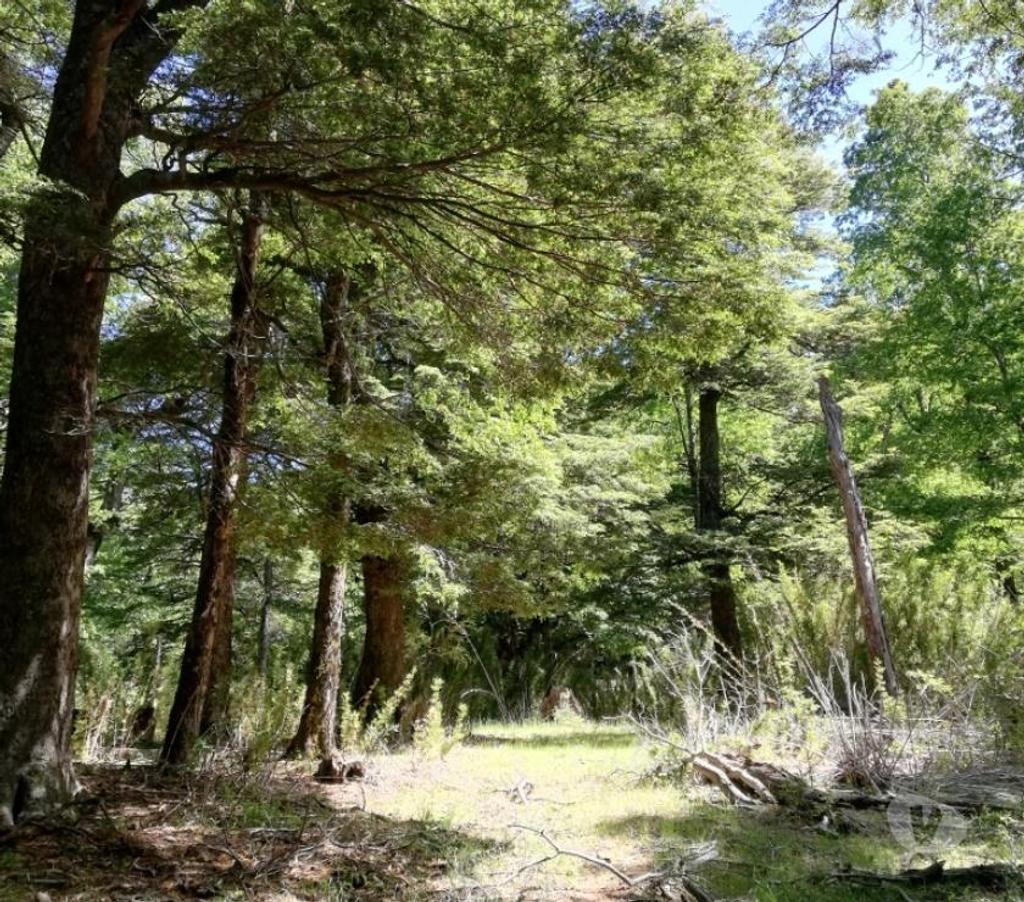 Parcelas en Venta Cautín Curarrehue - Fotos de Curarrehue 1 hectárea con derecho a acceso a rio. 