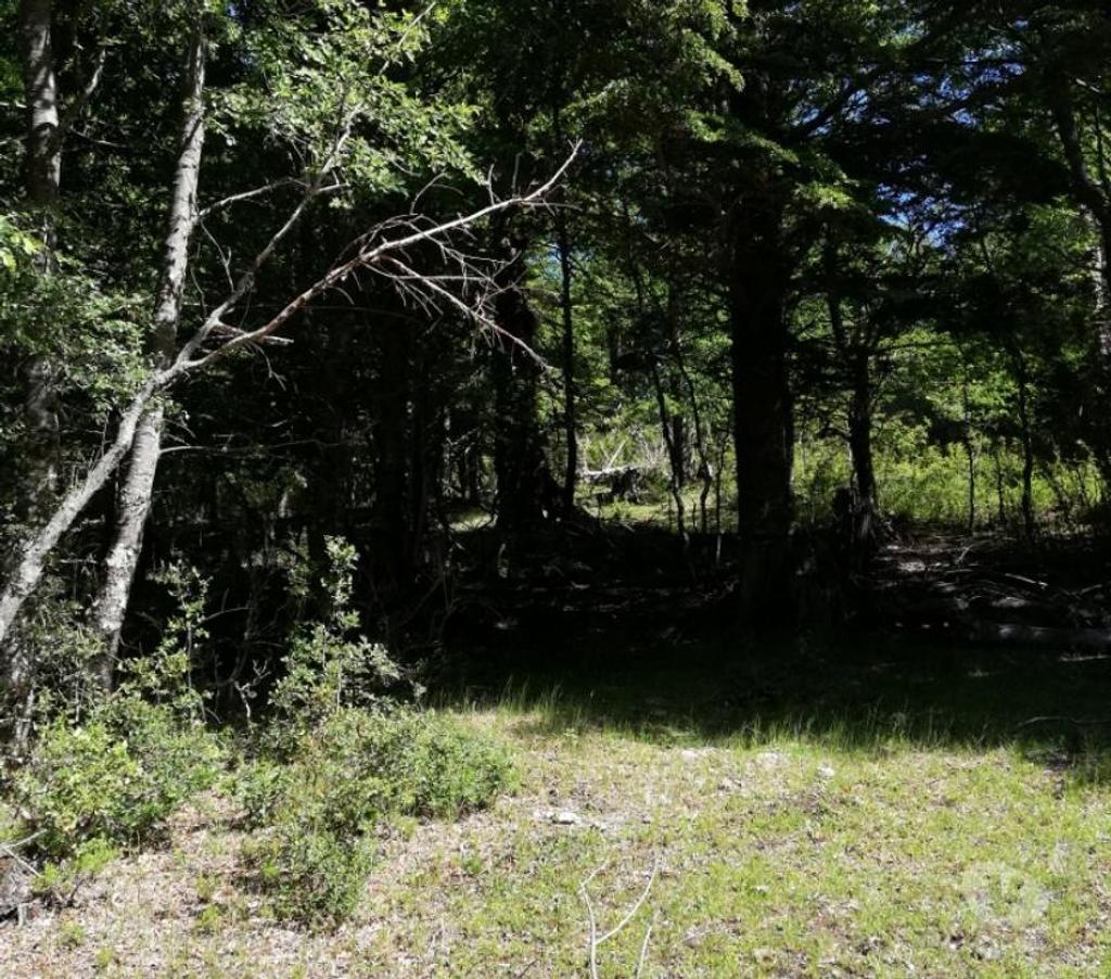 Parcelas en Venta Cautín Curarrehue - Fotos de Curarrehue 1 hectárea con derecho a acceso a rio. 