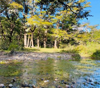 Parcelas en venta Curarrehue Cautín - Fotos de Curarrehue 1 hectárea con derecho a acceso a rio.