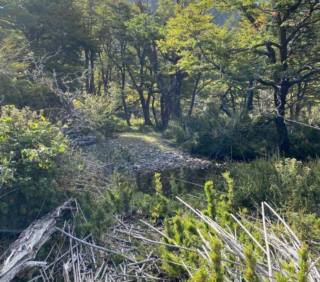 Parcelas en Venta Cautín Curarrehue - Fotos de Curarrehue parcelas 2,77 has con orilla de rio.