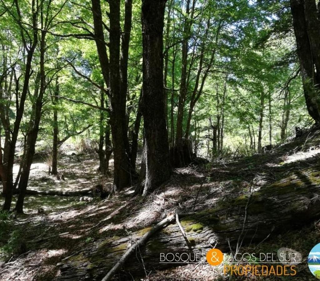 Parcelas en Venta Cautín Curarrehue - Fotos de Curarrehue parcelas 2,77 has con orilla de rio.