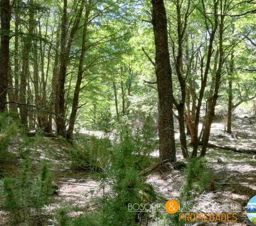 Parcelas en Venta Cautín Curarrehue - Fotos de Curarrehue parcelas 2,77 has con orilla de rio.