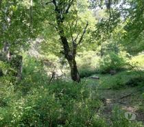 Fotos de Pucón curarrehue 2,24 has derecho acceso a rio