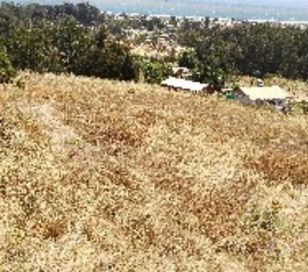 Parcelas en Venta San Antonio El Tabo - Fotos de Atención inversionistas, terreno de 7000 mts2 El Tabo