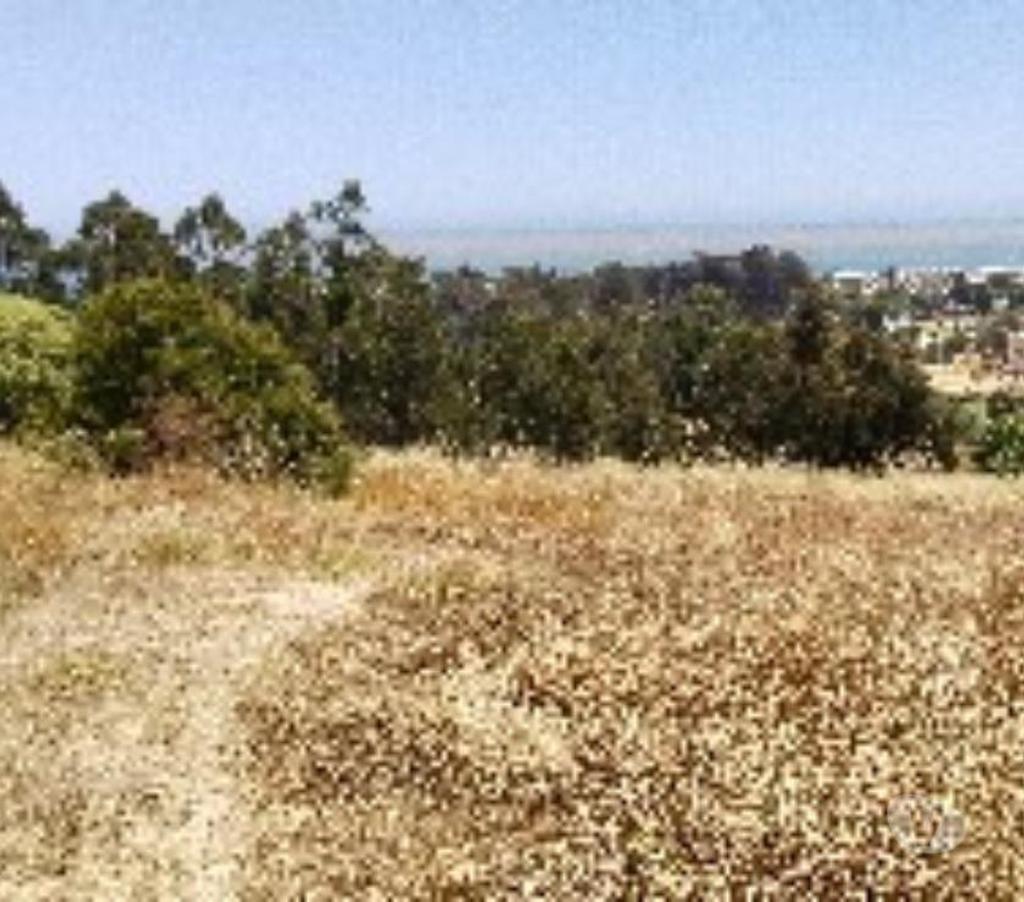 Parcelas en Venta San Antonio El Tabo - Fotos de Atención inversionistas, terreno de 7000 mts2 El Tabo
