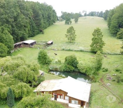 Campos en Venta Cunco Cautín - Fotos de Parcela de 15has en faja 24.000, Cunco, $350.000.000.