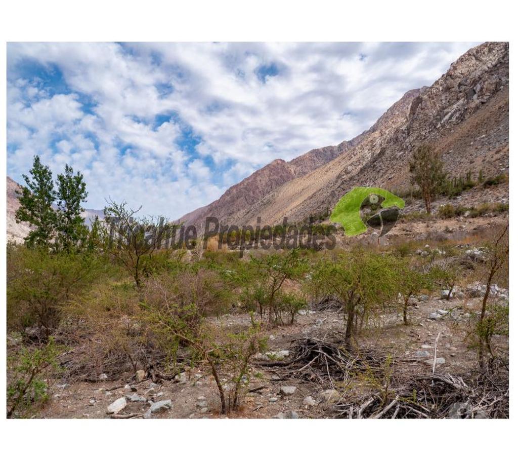 Parcelas en Venta Elqui Paihuano - Fotos de Parcela Cochiguaz, agua de riego. 6.100 m2., Valle del Elqui