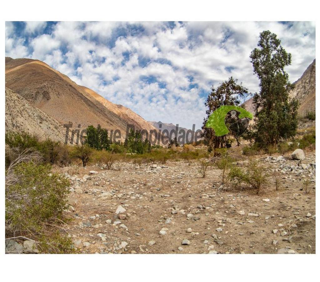 Parcelas en Venta Elqui Paihuano - Fotos de Parcela Cochiguaz, agua de riego. 6.100 m2., Valle del Elqui