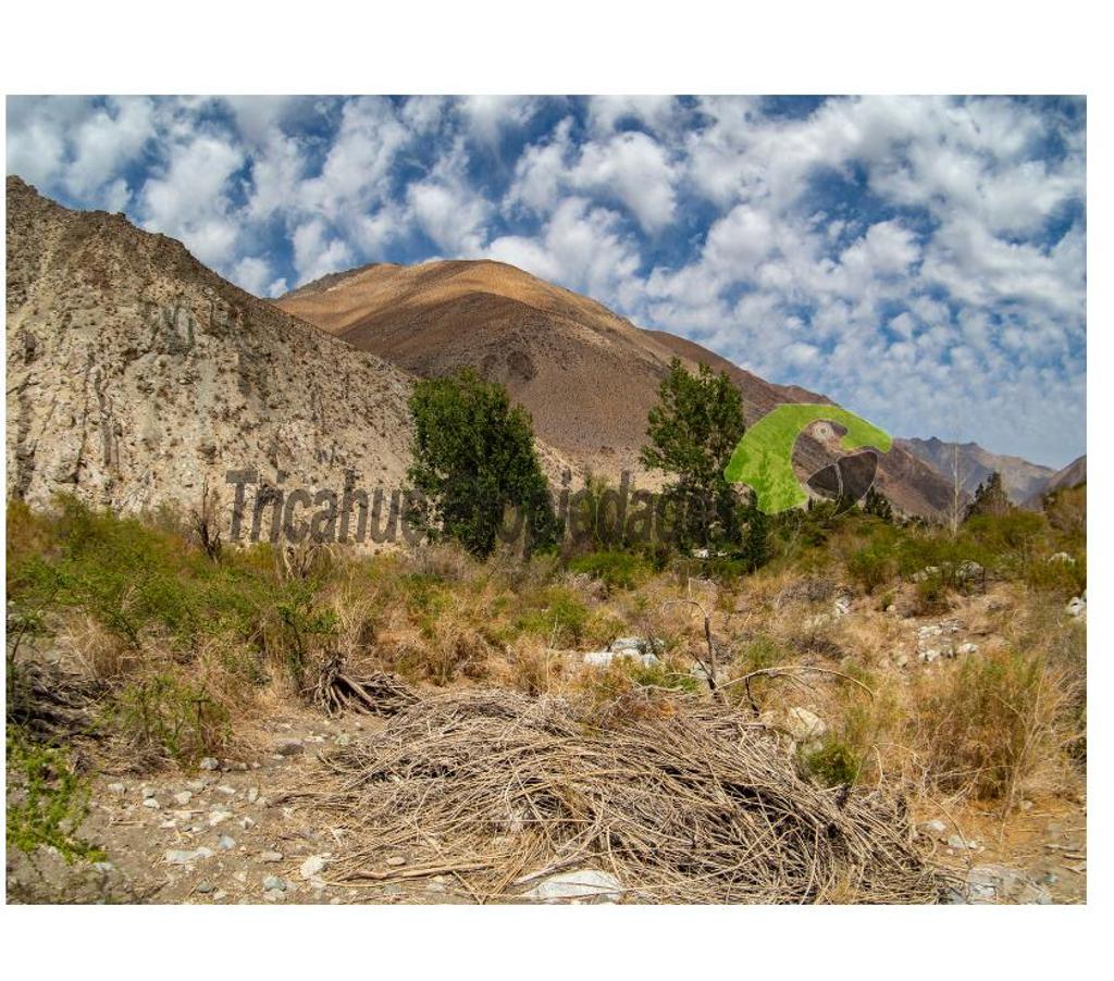 Parcelas en Venta Elqui Paihuano - Fotos de Parcela Cochiguaz, agua de riego. 6.100 m2., Valle del Elqui
