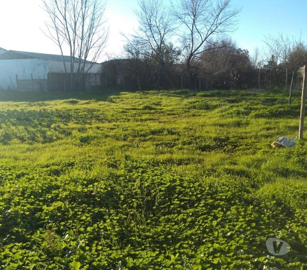 Parcelas en Venta Linares Parral - Fotos de Amplio terreno Urbano en Parral 1700 mts entre 1 y 2sur