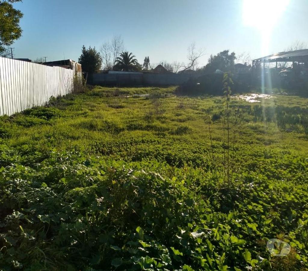 Parcelas en Venta Linares Parral - Fotos de Amplio terreno Urbano en Parral 1700 mts entre 1 y 2sur