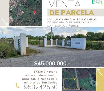 Terrenos San Carlos Ñuble - Fotos de Parcela plana a tan solo 1,5 kms de San Carlos Ñuble