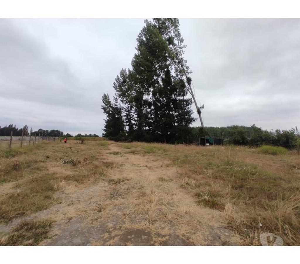 Parcelas en Venta Cachapoal Coínc - Fotos de Acogedora parcela de agrado con casa y galpón