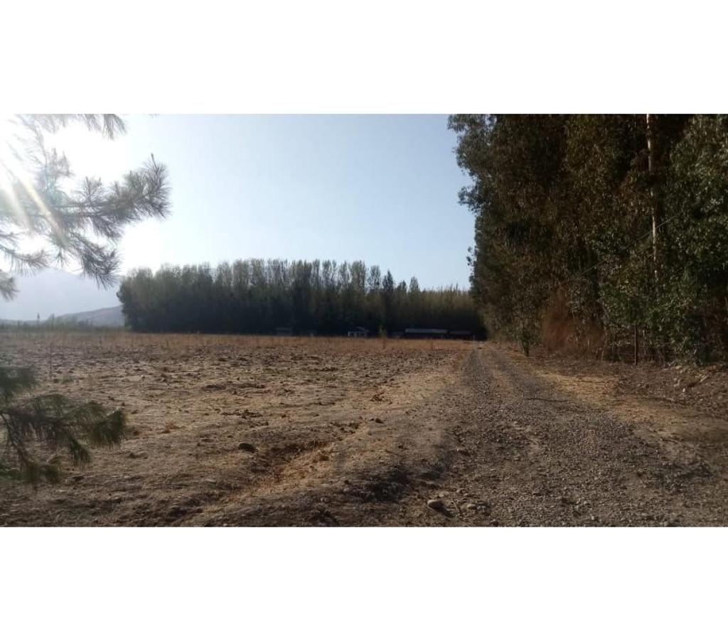 Parcelas en Venta Cachapoal Coínc - Fotos de Acogedora parcela de agrado con casa y galpón