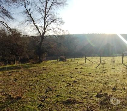 Terrenos en Venta Ñiquén Ñuble - Fotos de Hermosa parcela de 5000 mts2 en la Comuna de Ñiquén