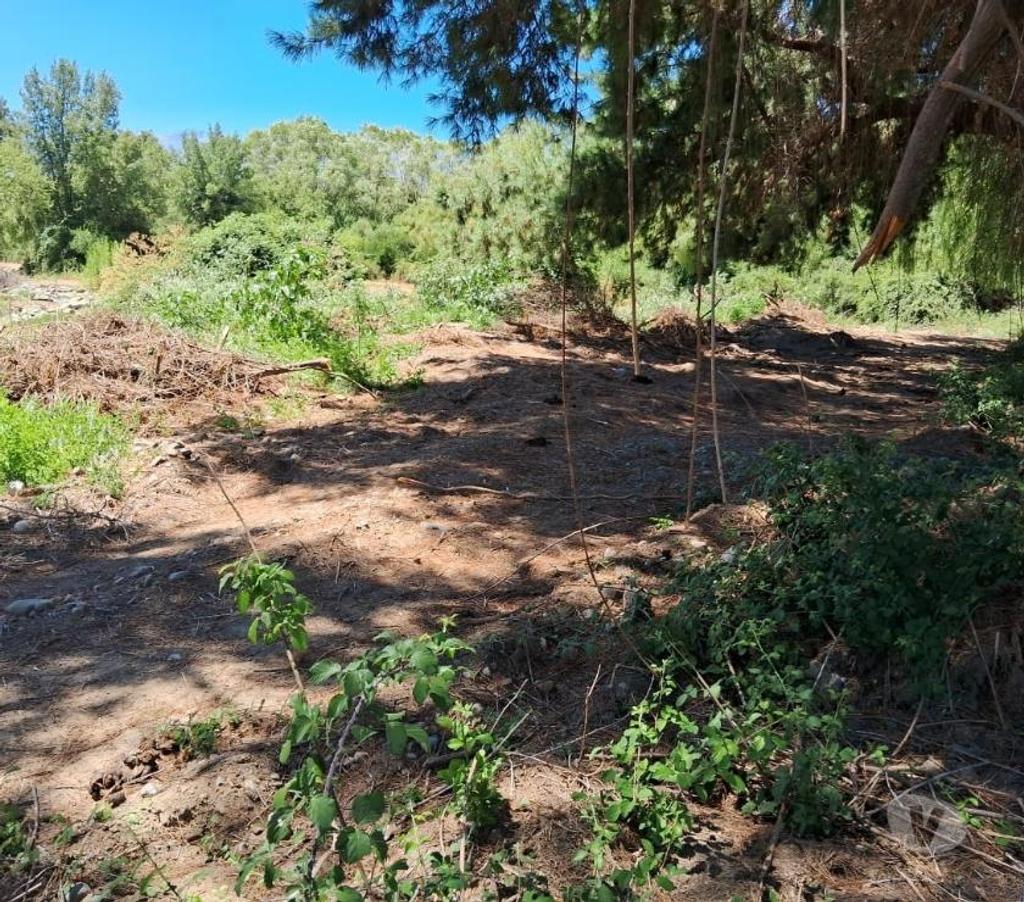 Parcelas en Venta Linares Linares - Fotos de 2 has. Planas. Agrícola. Colinda con Estéro Precordillera