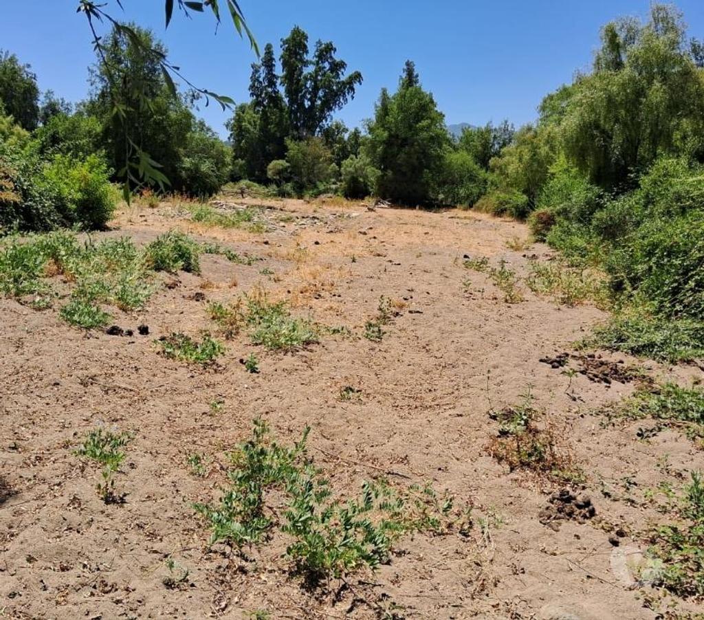 Parcelas en Venta Linares Linares - Fotos de 2 has. Planas. Agrícola. Colinda con Estéro Precordillera