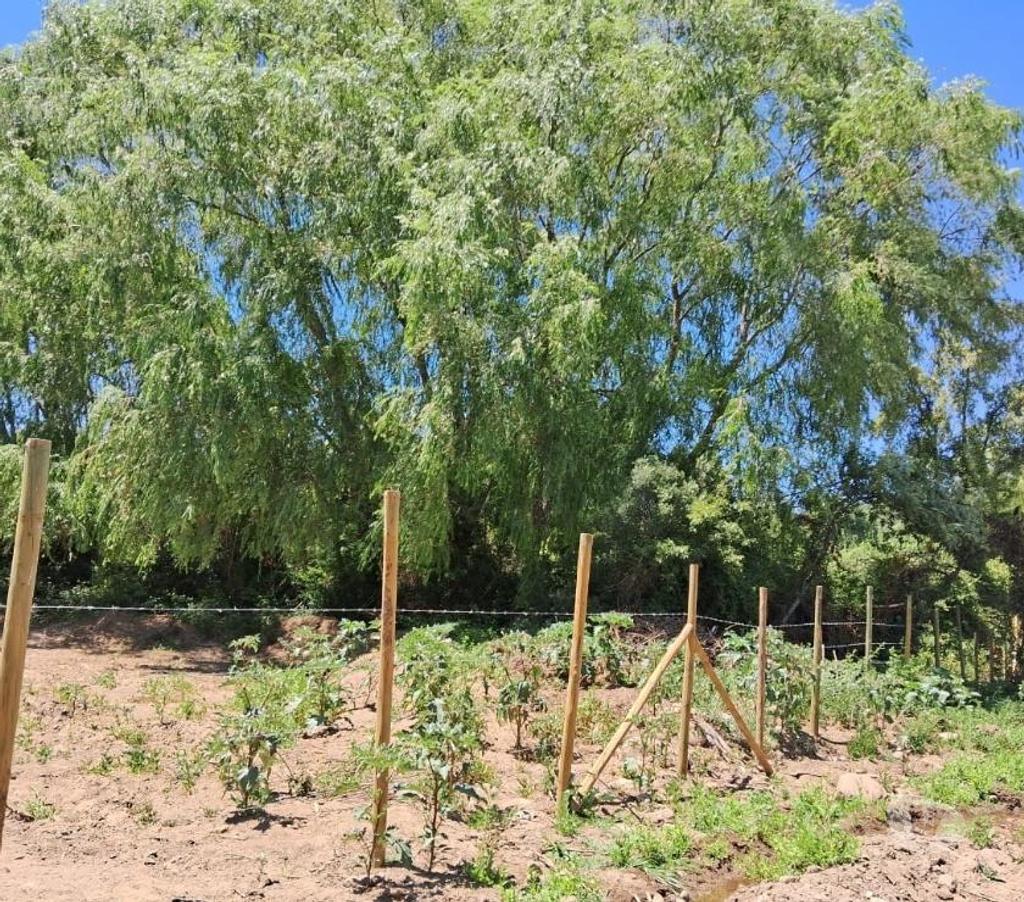 Parcelas en Venta Linares Linares - Fotos de 2 has. Planas. Agrícola. Colinda con Estéro Precordillera