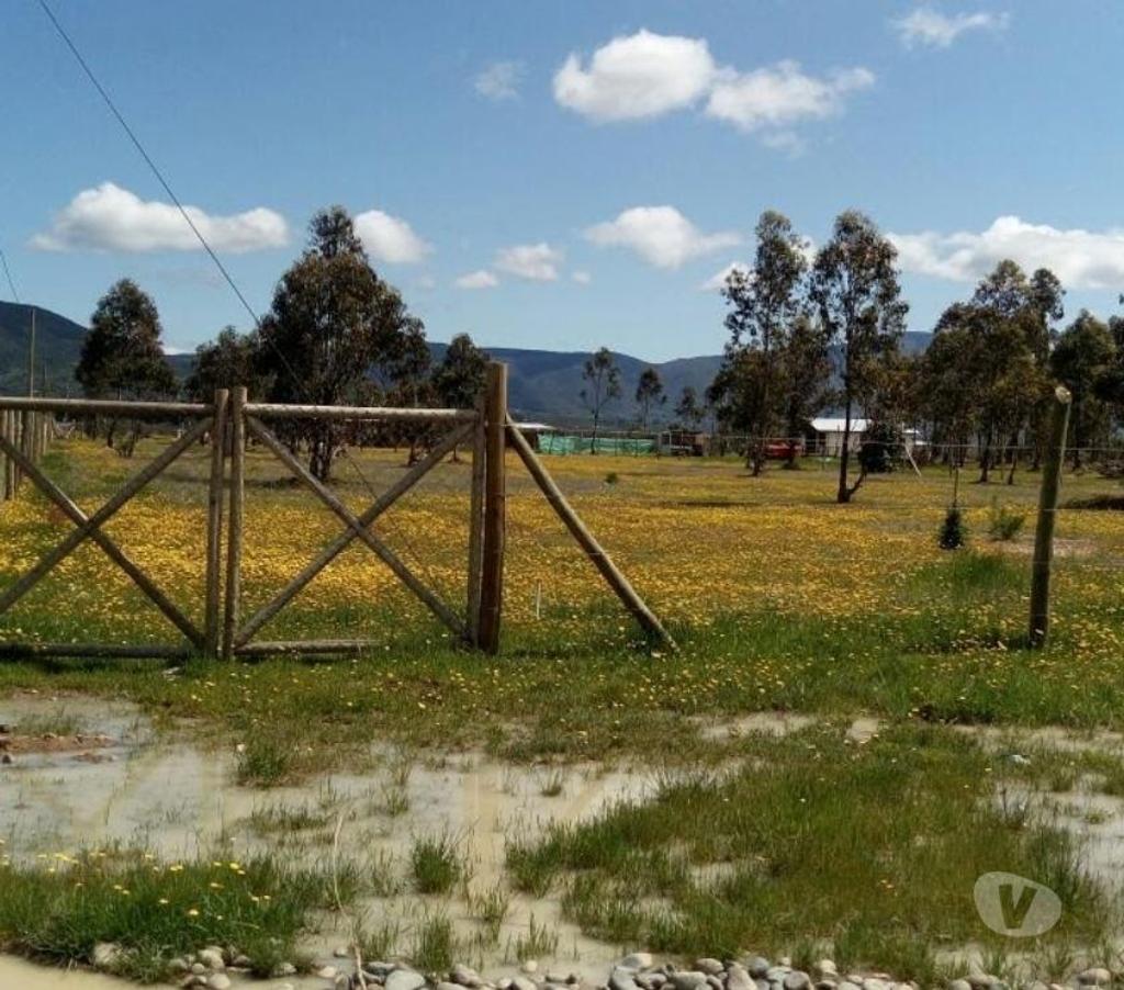 Parcelas en Venta Linares San Javier - Fotos de Parcela 5.000m2. Melozal.San Javier .Linares
