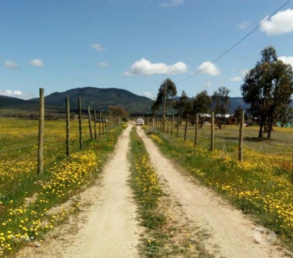 Parcelas en Venta Linares San Javier - Fotos de Parcela 5.000m2. Melozal.San Javier .Linares