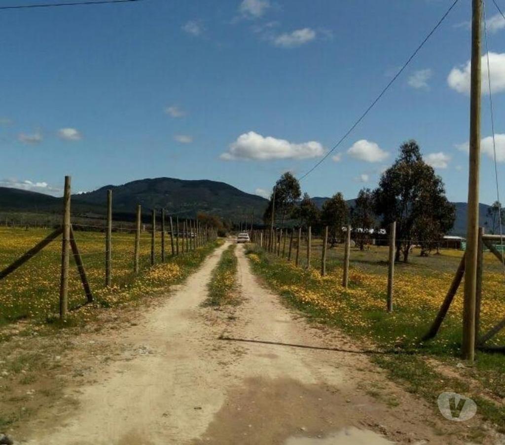 Parcelas en Venta Linares San Javier - Fotos de Parcela 5.000m2. Melozal.San Javier .Linares