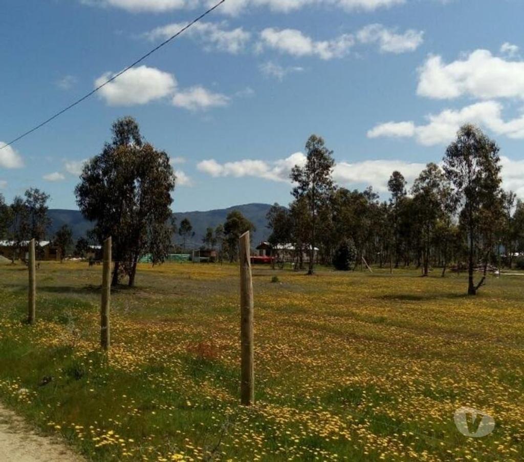 Parcelas en Venta Linares San Javier - Fotos de Parcela 5.000m2. Melozal.San Javier .Linares