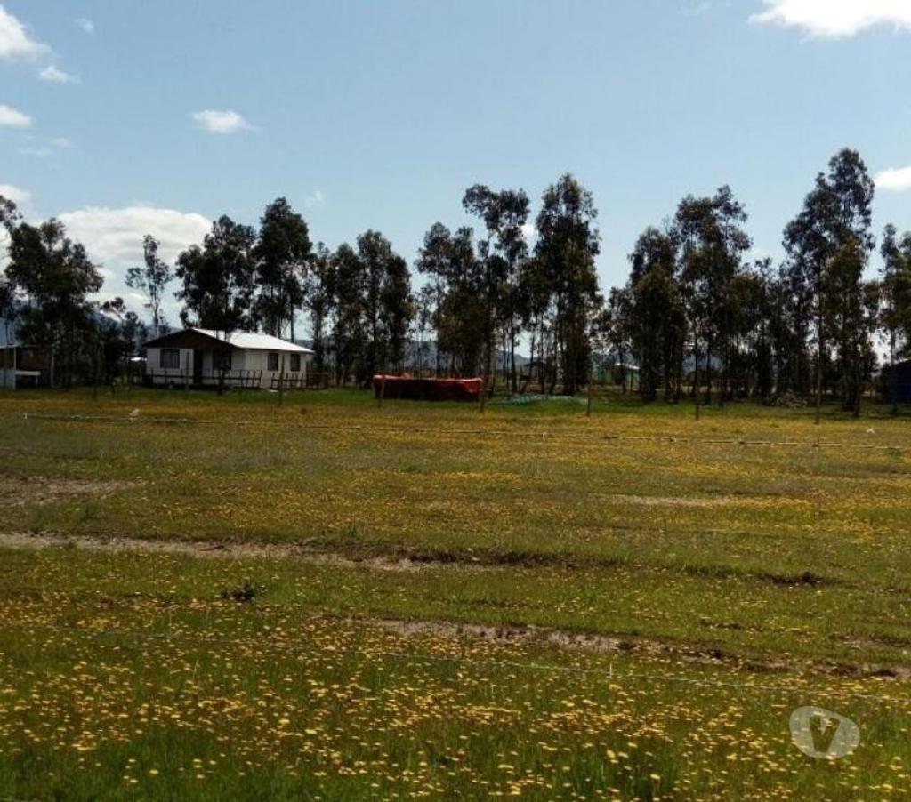 Parcelas en Venta Linares San Javier - Fotos de Parcela 5.000m2. Melozal.San Javier .Linares