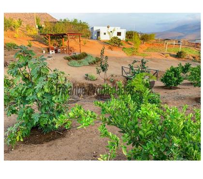 Terrenos Ovalle Limarí - Fotos de Parcela 5.000 m2, casa amoblada y quincho. 15 min de Ovalle