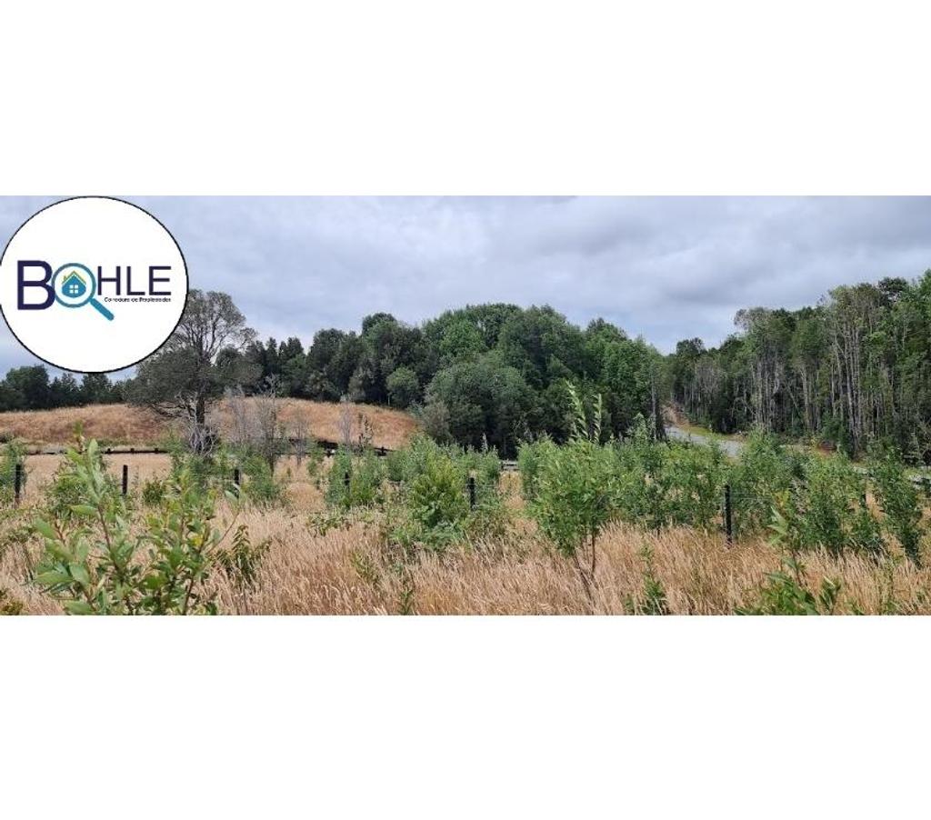 Parcelas en Venta Llanquihue Puerto Varas - Fotos de VENDO - Parcela 5000m2 en Condominio Cumbre Volcanes