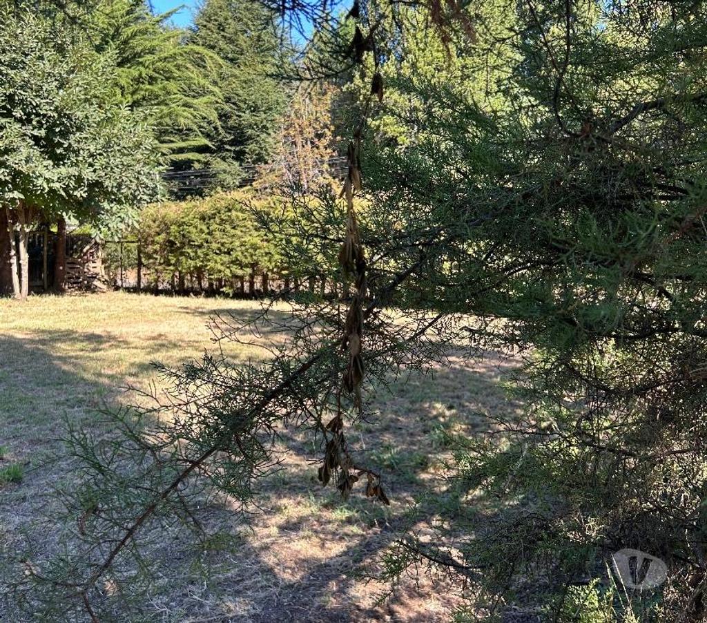 Parcelas en Venta Cautín Villarrica - Fotos de Vendo sitio de esquina en Lican Ray a 120 Mts de la playa