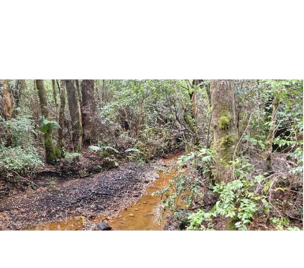 Bienes Raices Llanquihue Puerto Varas - Fotos de Vendo 1 há + casa en Cruce Navarro 1 km de la Ruta 225