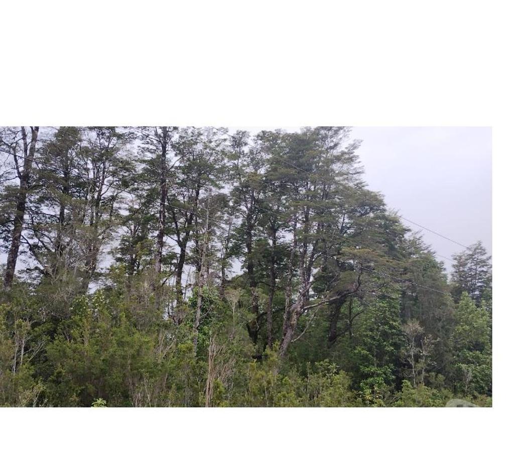 Parcelas en Venta Llanquihue Cochamó - Fotos de Vendo 45.5 Há en Río Puelo Sector Yates