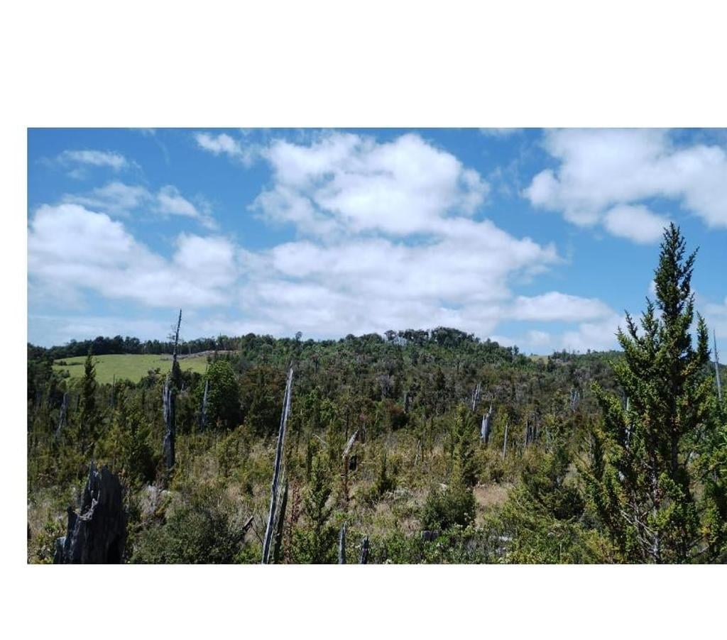 Parcelas en Venta Llanquihue Puerto Montt - Fotos de Vendo 103 Há en Estaquilla, Los Lagos
